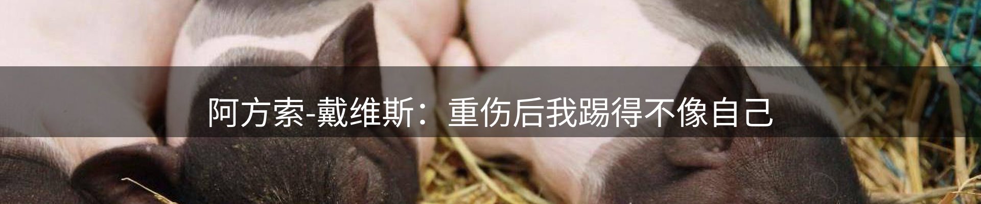 新闻窗口